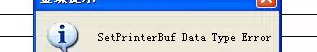 SetprinterBufData Type Error